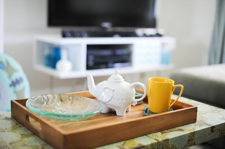 Champaign, IL House Tour by Jasmine Nicole Photo -13