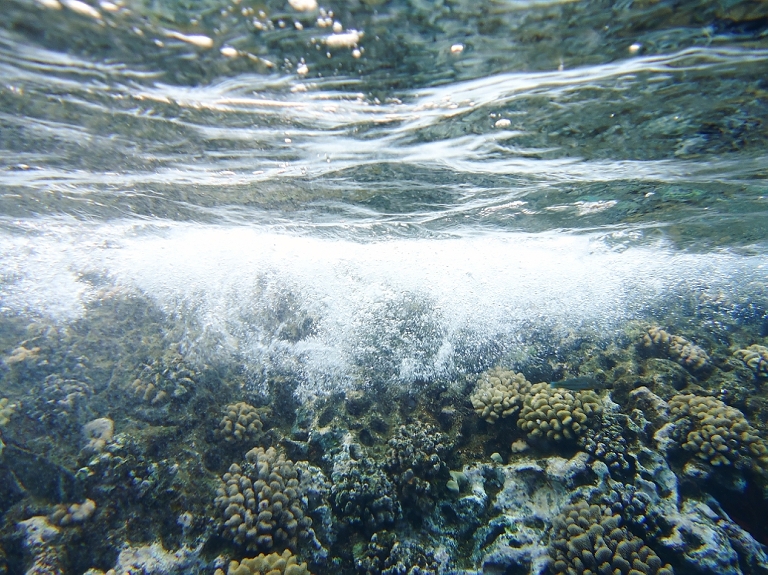 Molokini Crater Snorkeling with Four Winds Maui-10