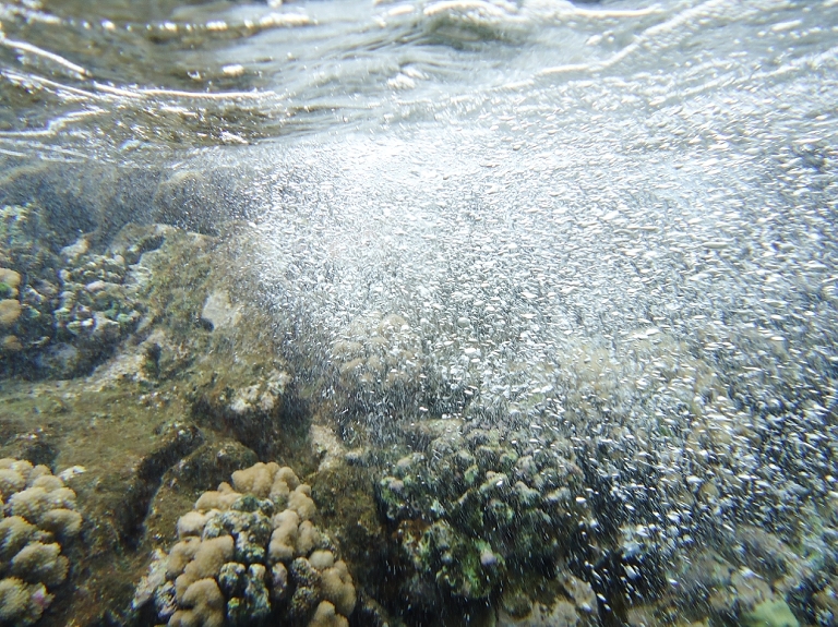 Molokini Crater Snorkeling with Four Winds Maui-13