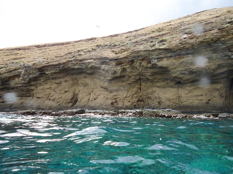 Molokini Crater Snorkeling with Four Winds Maui-16