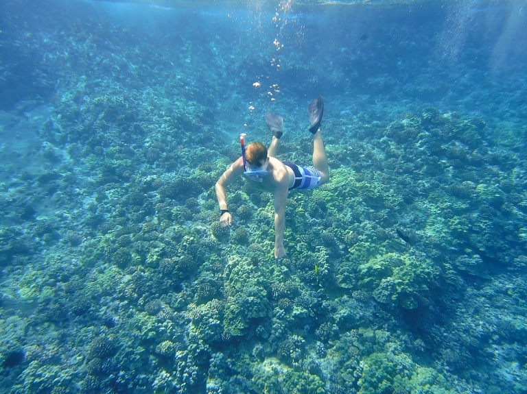 Molokini Crater Snorkeling with Four Winds Maui-2