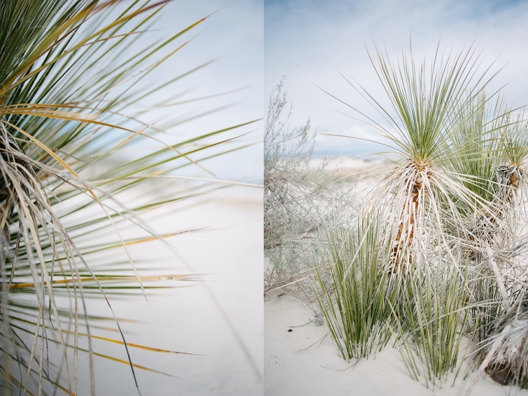 White Sands New Mexico Travel Photography Jasmine Pulley -24
