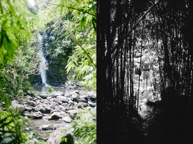 maui travel photography jasmine nicole photo -44