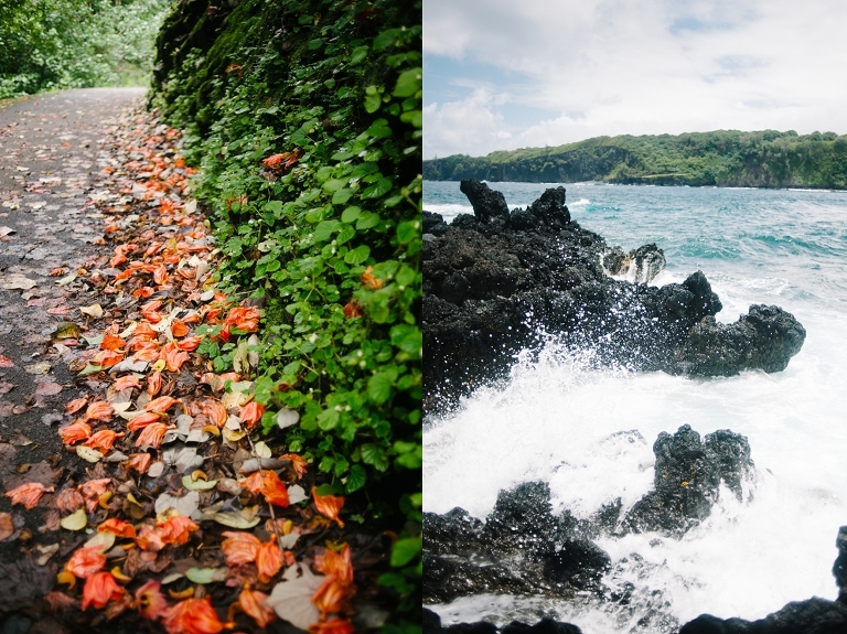 maui travel photography jasmine nicole photo -47
