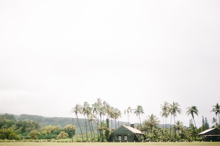 maui travel photography jasmine nicole photo -49