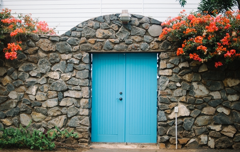 maui travel photography jasmine nicole photo -72