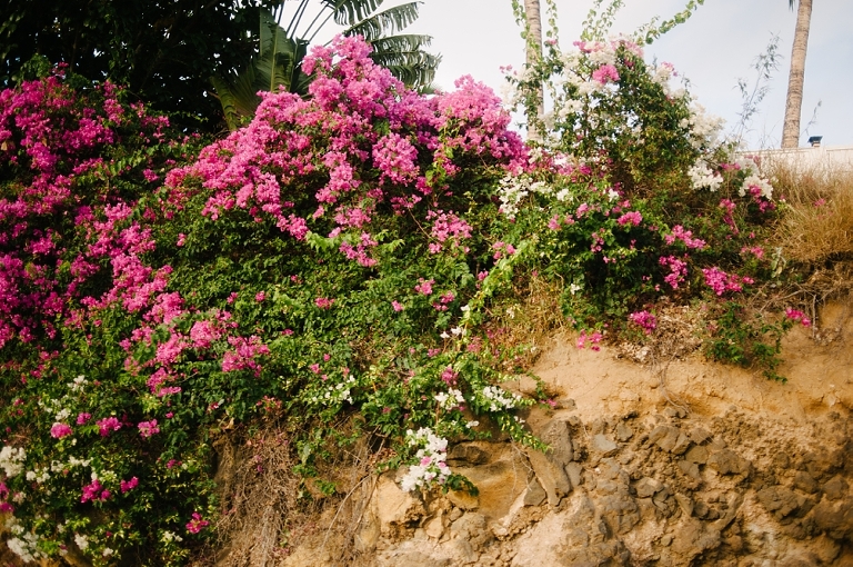 maui travel photography jasmine nicole photo -73