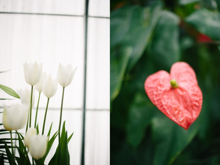 volunteer park seattle jasmine nicole photography-7