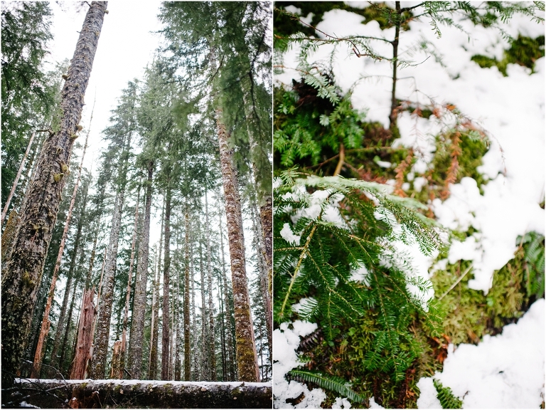 Big Four Ice Caves Washington Pacific NorthWest Photography Jasmine Pulley Wildlyspun.com-12