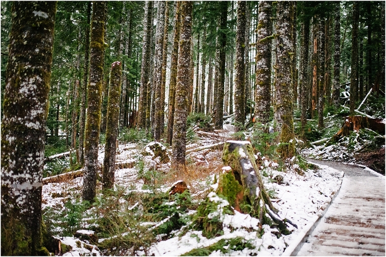 Big Four Ice Caves Washington Pacific NorthWest Photography Jasmine Pulley Wildlyspun.com-13