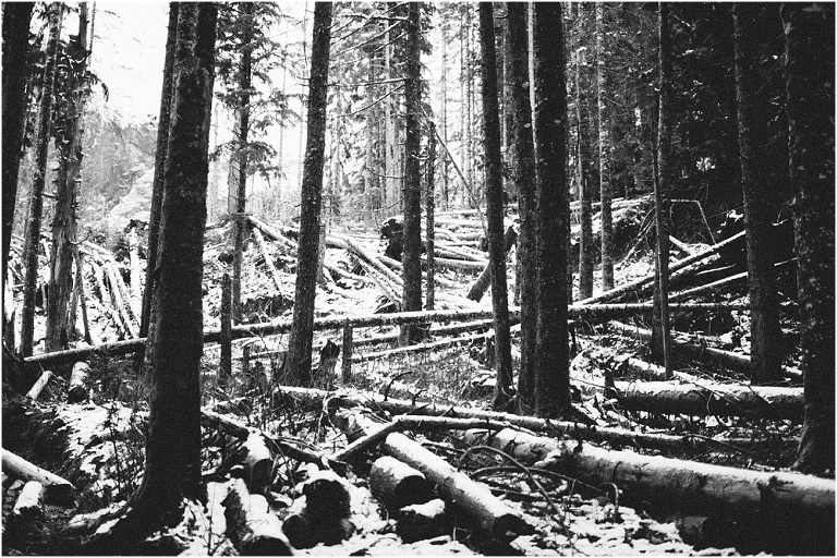 Big Four Ice Caves Washington Pacific NorthWest Photography Jasmine Pulley Wildlyspun.com-14