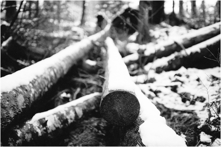 Big Four Ice Caves Washington Pacific NorthWest Photography Jasmine Pulley Wildlyspun.com-16