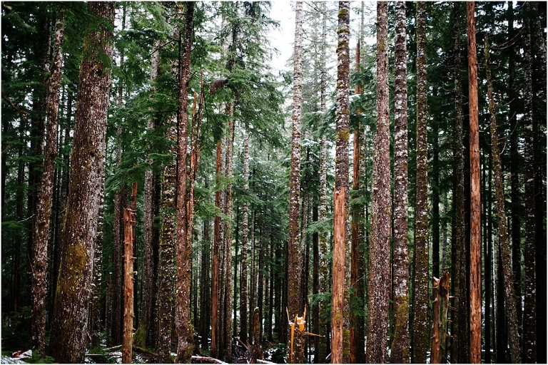 Big Four Ice Caves Washington Pacific NorthWest Photography Jasmine Pulley Wildlyspun.com-32