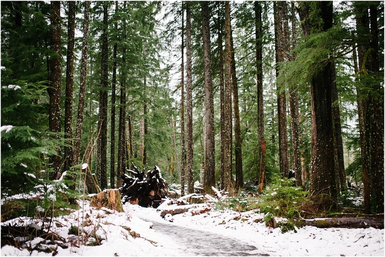 Big Four Ice Caves Washington Pacific NorthWest Photography Jasmine Pulley Wildlyspun.com-5