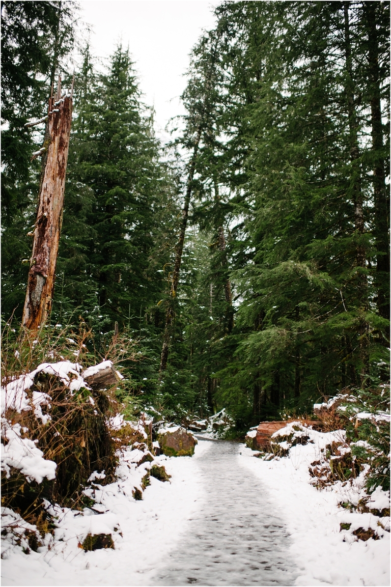 Big Four Ice Caves Washington Pacific NorthWest Photography Jasmine Pulley Wildlyspun.com-6