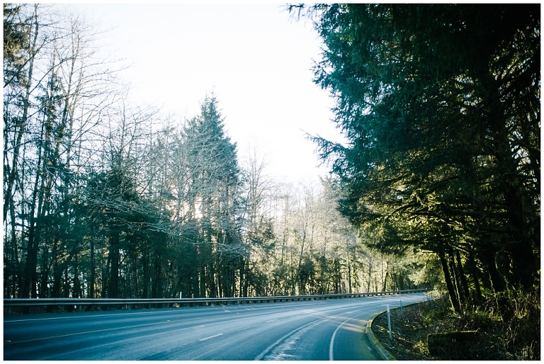 Cannon Beach Oregon and Northern California San Francisco Travel Photography by Jasmine Pulley wildlyspun.com -13