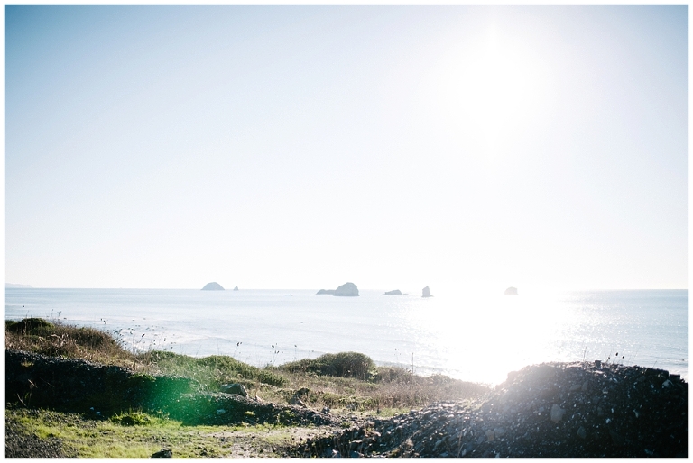 Cannon Beach Oregon and Northern California San Francisco Travel Photography by Jasmine Pulley wildlyspun.com -19