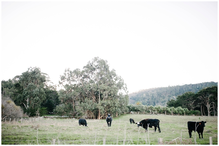 West Coast Road Trip Part 2 Wildlyspun.com Jasmine Pulley California Big Sur Pacific Highway-1