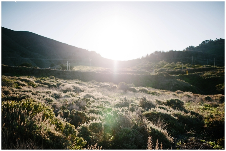 West Coast Road Trip Part 2 Wildlyspun.com Jasmine Pulley California Big Sur Pacific Highway-13