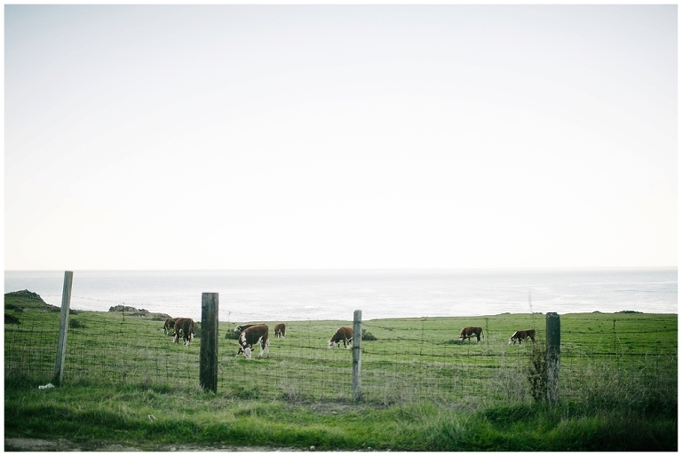 West Coast Road Trip Part 2 Wildlyspun.com Jasmine Pulley California Big Sur Pacific Highway-15