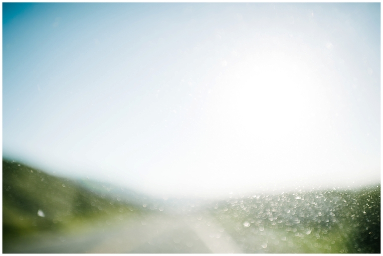 West Coast Road Trip Part 2 Wildlyspun.com Jasmine Pulley California Big Sur Pacific Highway-19