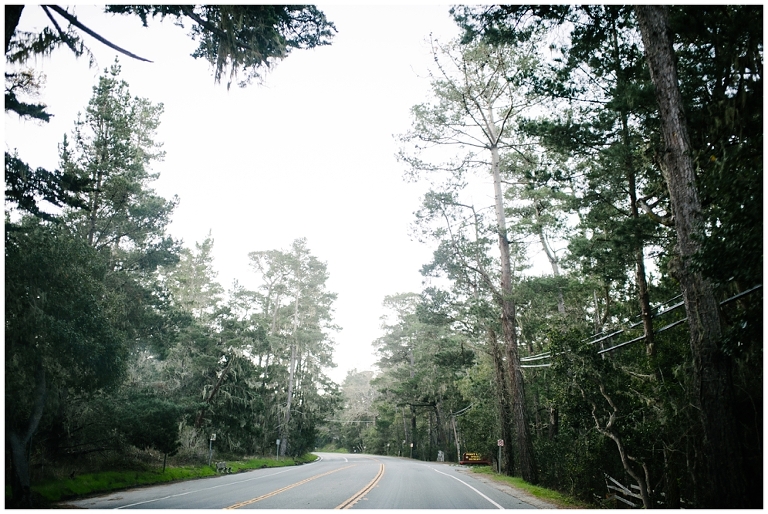 West Coast Road Trip Part 2 Wildlyspun.com Jasmine Pulley California Big Sur Pacific Highway-2