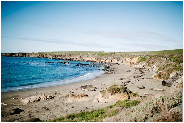 West Coast Road Trip Part 2 Wildlyspun.com Jasmine Pulley California Big Sur Pacific Highway-25