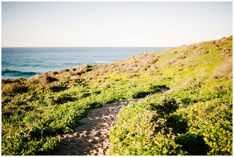 West Coast Road Trip Part 2 Wildlyspun.com Jasmine Pulley California Big Sur Pacific Highway-6