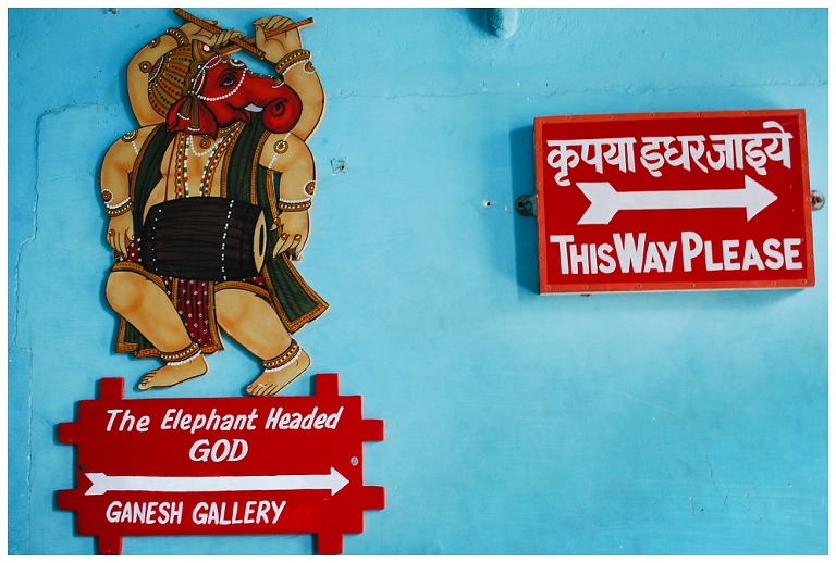 India Travel Photos Jasmine Pulley wildlyspun.com jaipur rajasthan udaipur-6