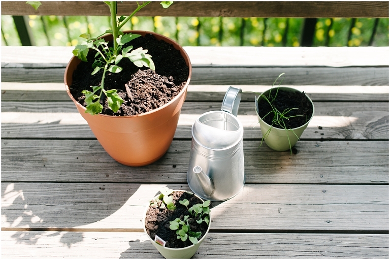 wildlyspun.com blog post on creative careers-4