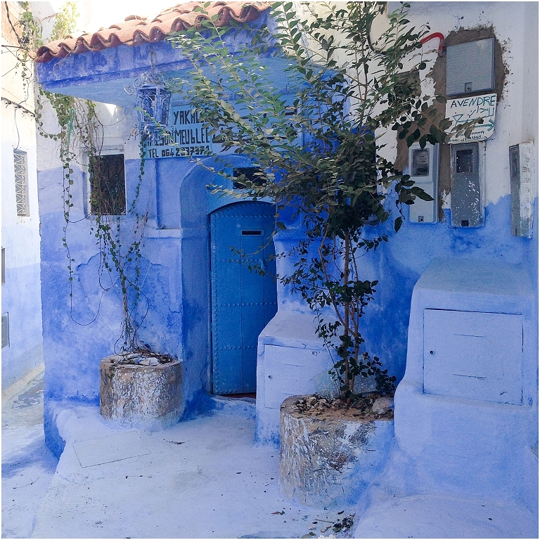 Chefchouen Morocco Travel Photography Jasmine Pulley Wildlyspun.com -100