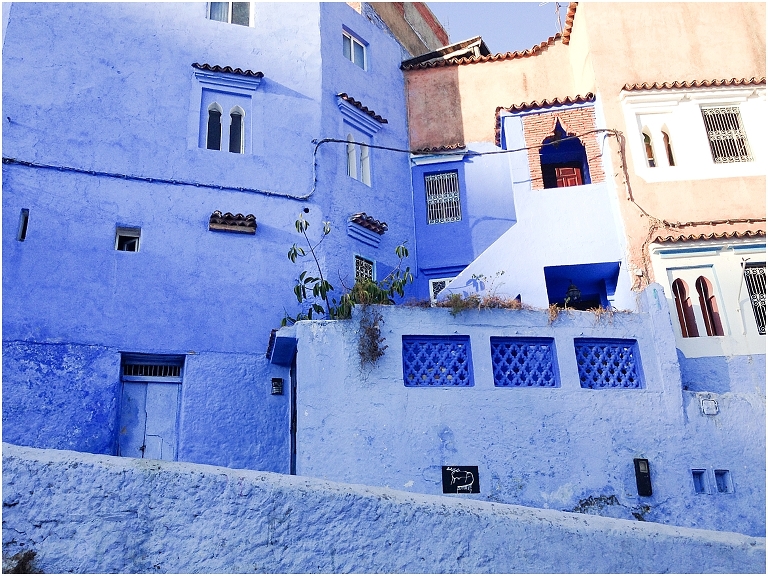 Chefchouen Morocco Travel Photography Jasmine Pulley Wildlyspun.com -120