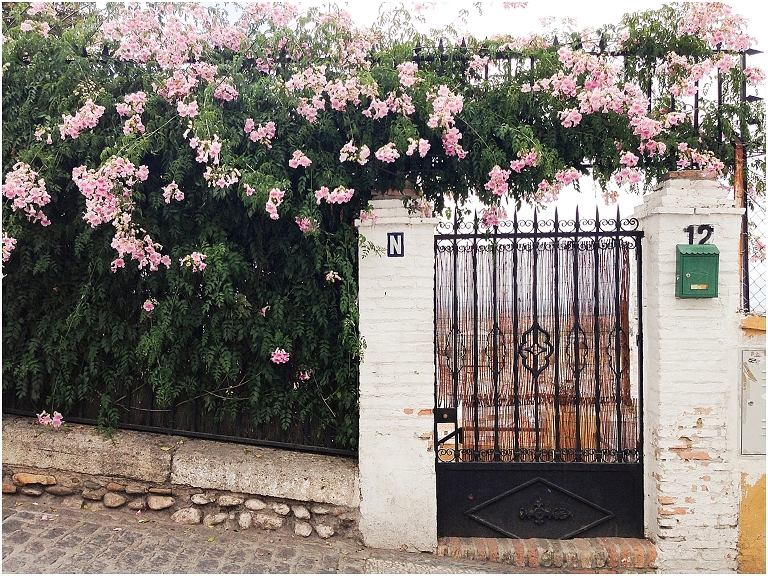 Granada Spain Travel Photos Wildlyspun.com-115