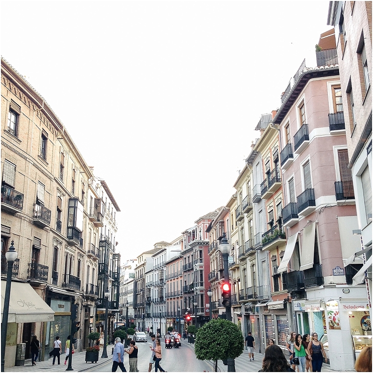 Granada Spain Travel Photos Wildlyspun.com-50