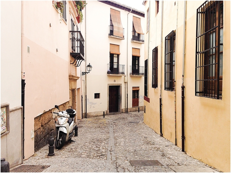 Granada Spain Travel Photos Wildlyspun.com-97