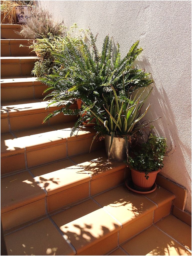 Nerja and Frigiliana Spain Travel Photography Jasmine Pulley wildlyspun.com-16